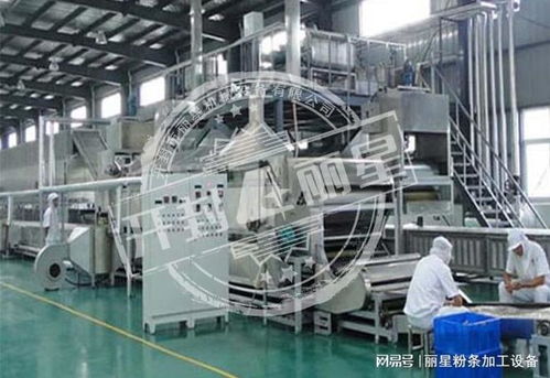機(jī)械化加工粉條的優(yōu)勢、常見問題及解決方案全解析