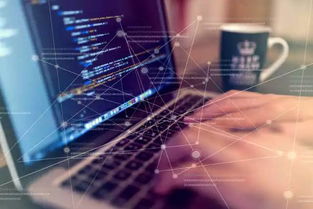 你真的適合學(xué)習(xí)編程嗎？信息科技領(lǐng)域技術(shù)開發(fā)職業(yè)探索指南